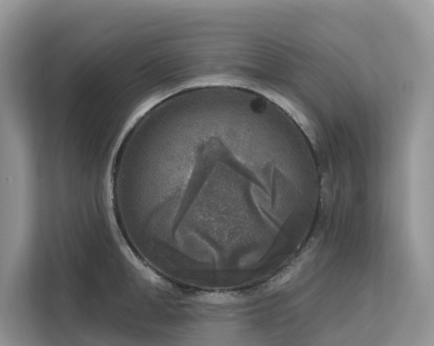 X0000113100998200908281344