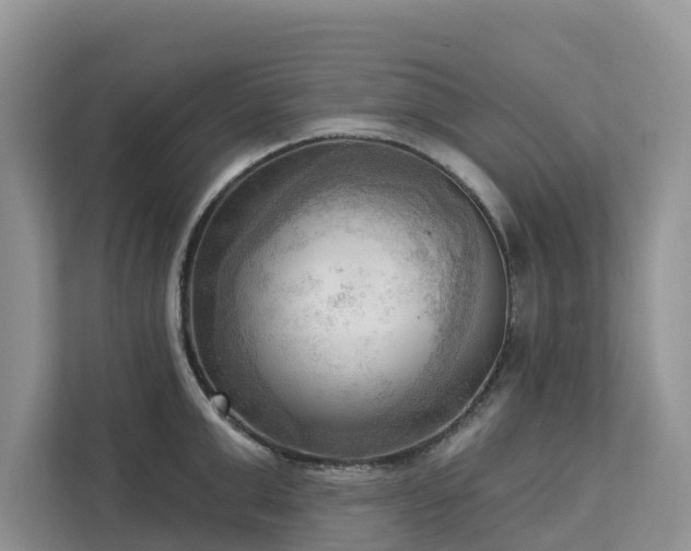 X0000113100999200908281344