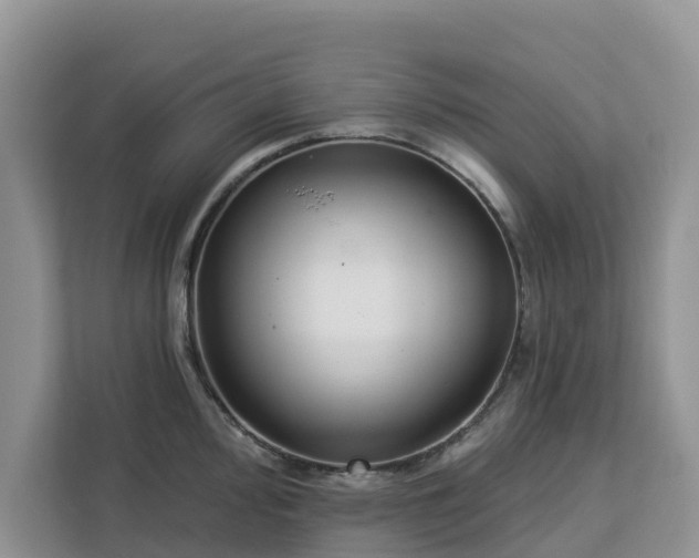 X0000113101000200908281344