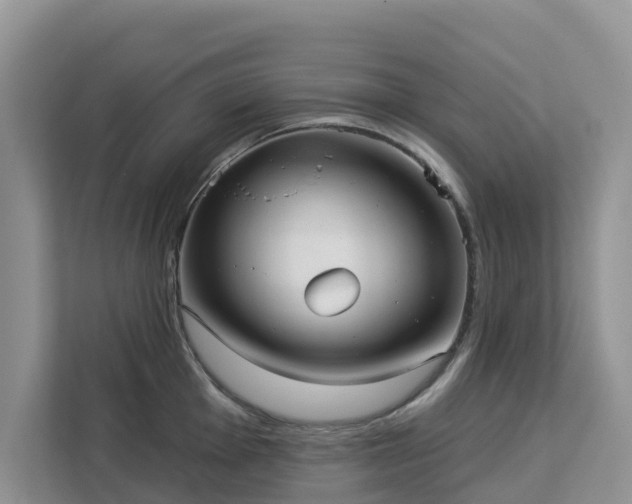 X0000113101001200908281344