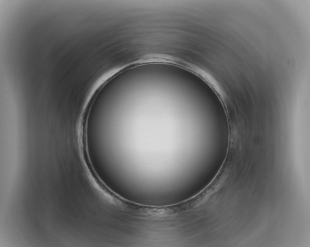 X0000113101003200908281344