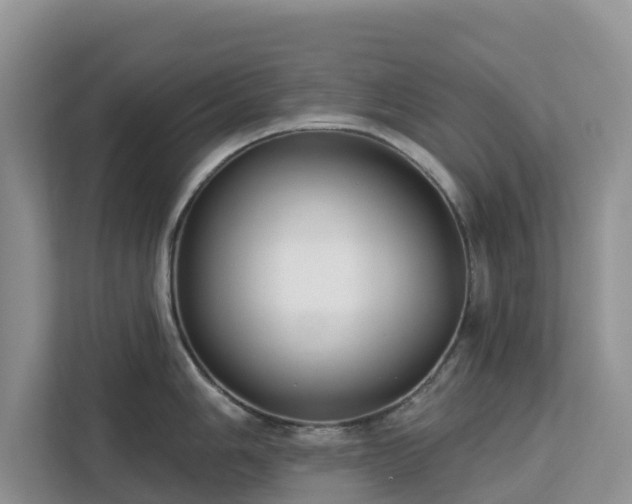 X0000113101006200908281344