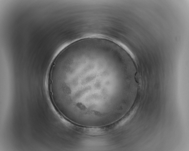 X0000113101007200908281344