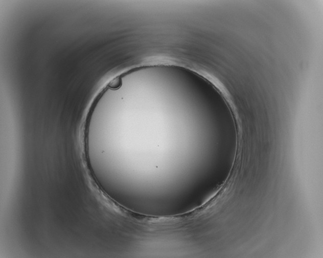 X0000113101008200908281344