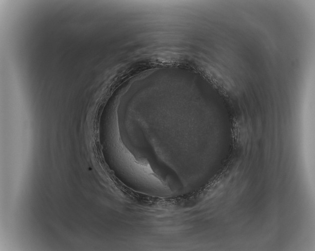 X0000113101009200908281343