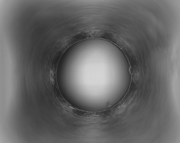 X0000113101010200908281343