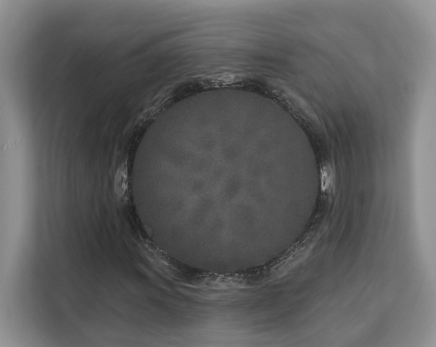 X0000113101011200908281343