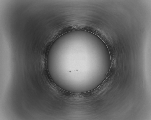 X0000113101012200908281343