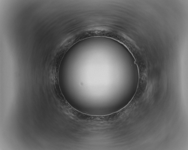 X0000113101014200908281343