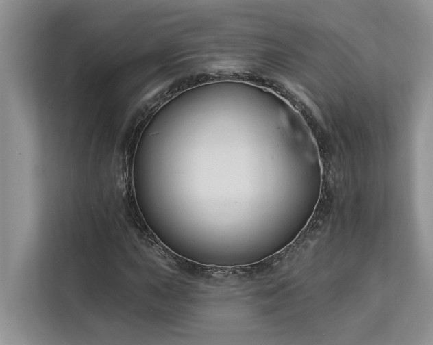 X0000113101015200908281343