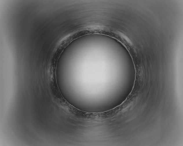 X0000113101016200908281343