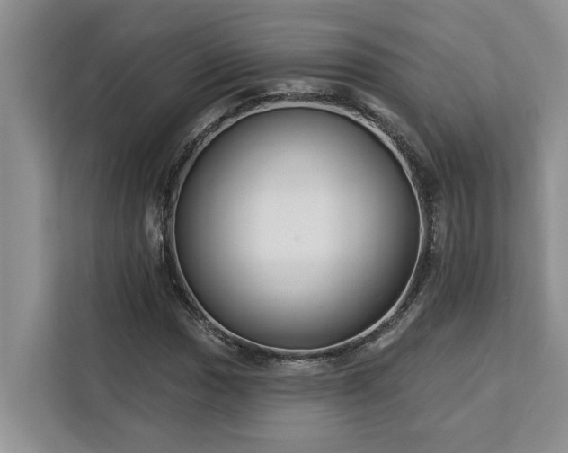 X0000113101017200908281343