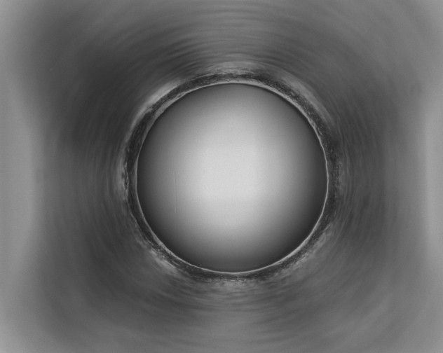 X0000113101018200908281343