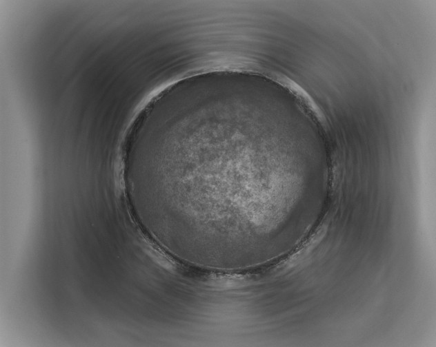 X0000113101019200908281343
