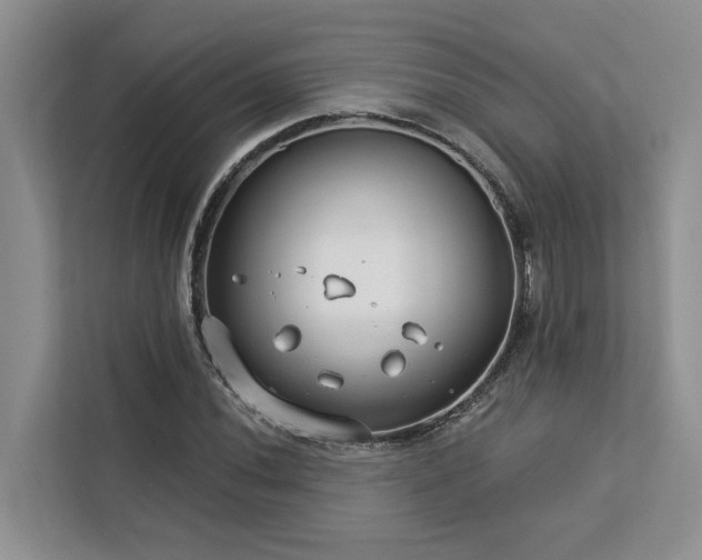 X0000113101020200908281343