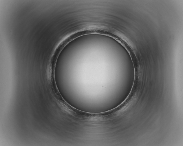X0000113101021200908281343