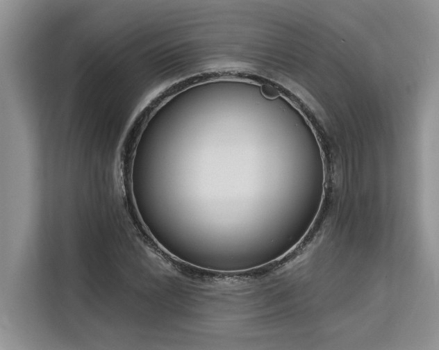 X0000113101022200908281343