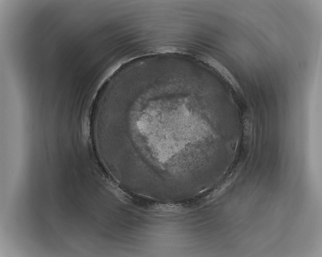 X0000113101023200908281343