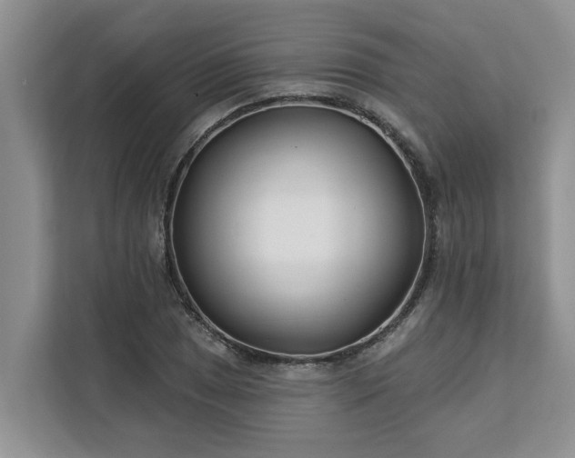 X0000113101025200908281344