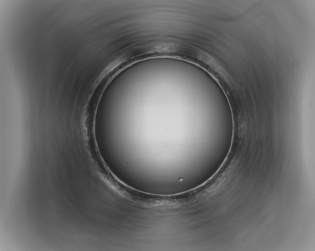 X0000113101026200908281344
