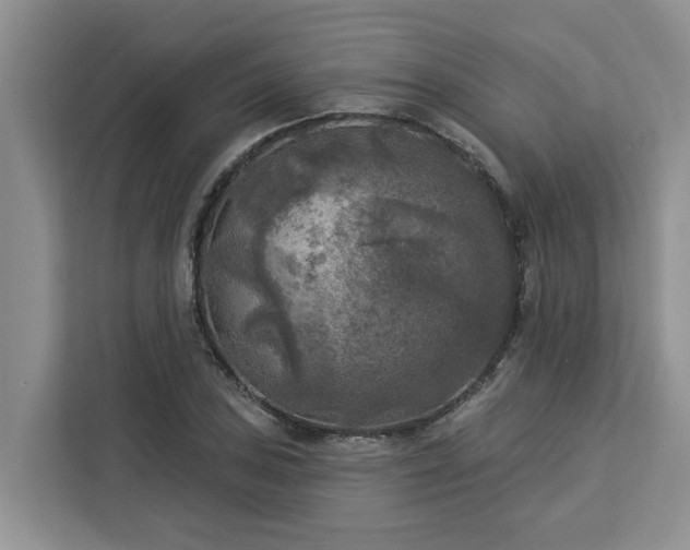 X0000113101027200908281344