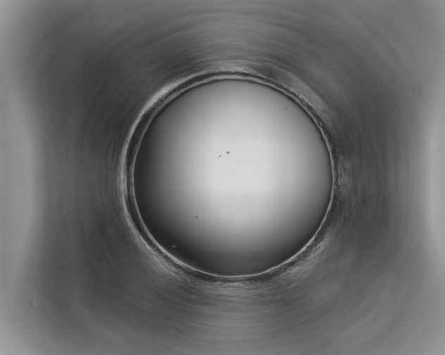 X0000113101028200908281344