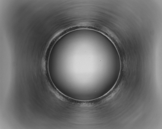 X0000113101029200908281344