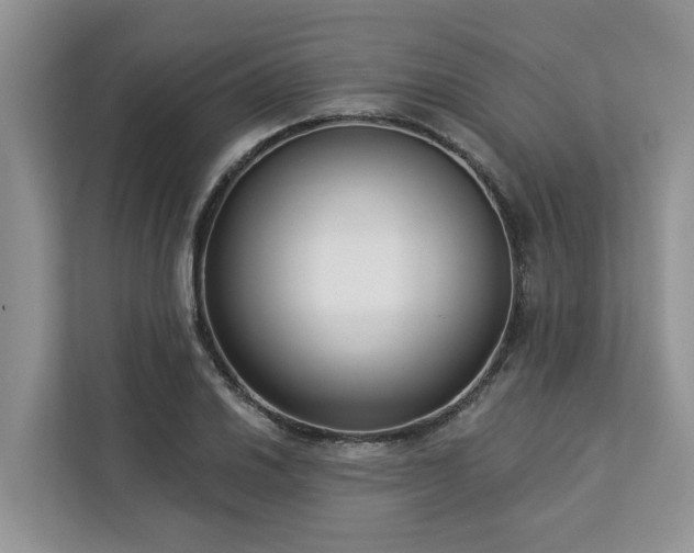 X0000113101030200908281344