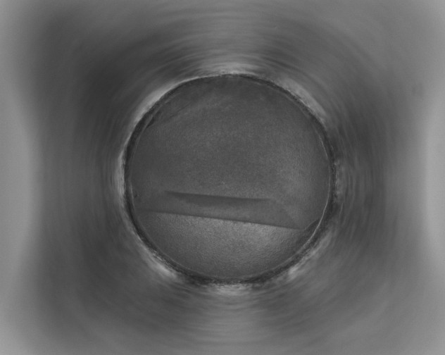 X0000113101031200908281344