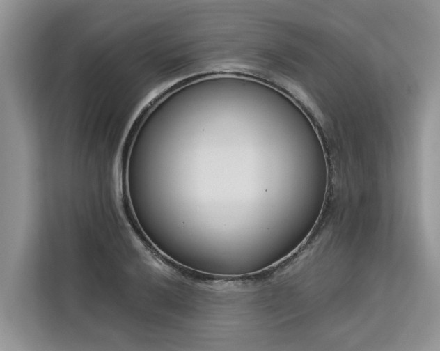 X0000113101032200908281344