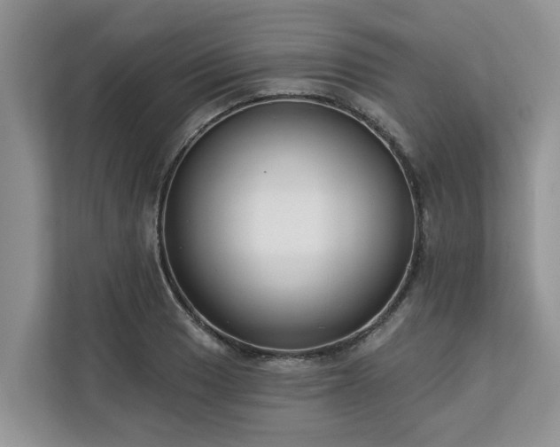 X0000113101033200908281344