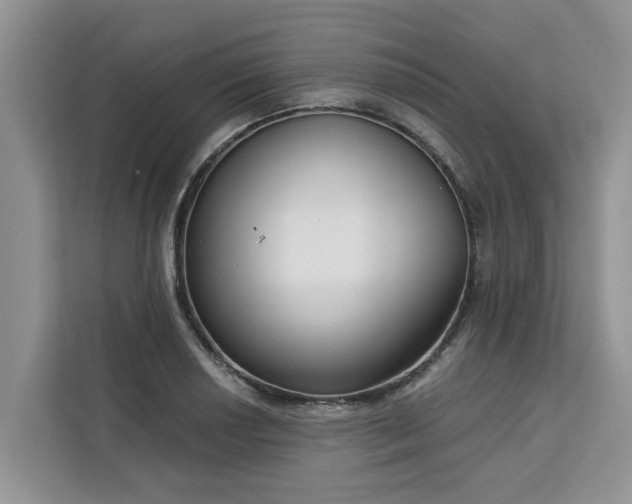 X0000113101034200908281344