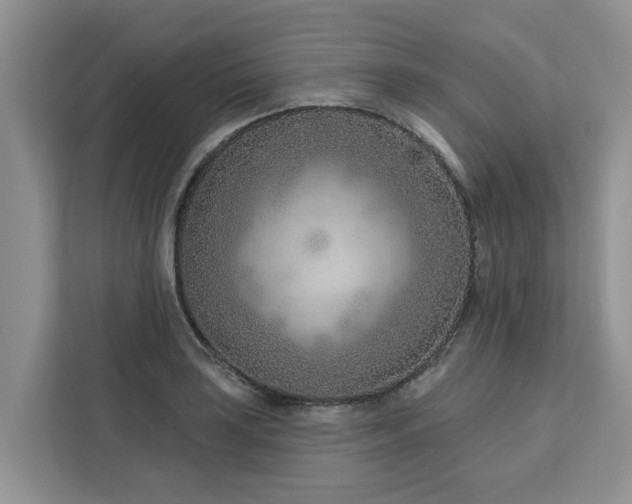X0000113101035200908281344