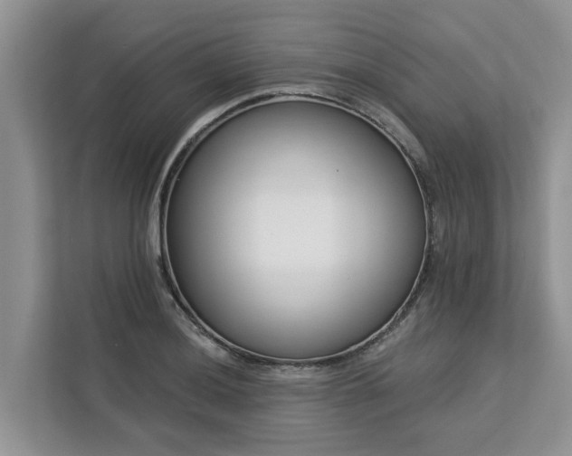 X0000113101036200908281344