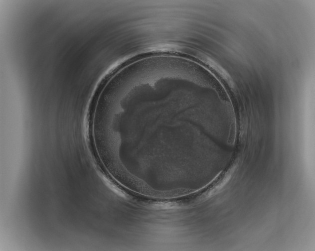 X0000113101037200908281344