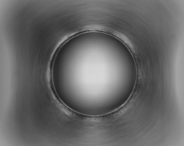 X0000113101040200908281344