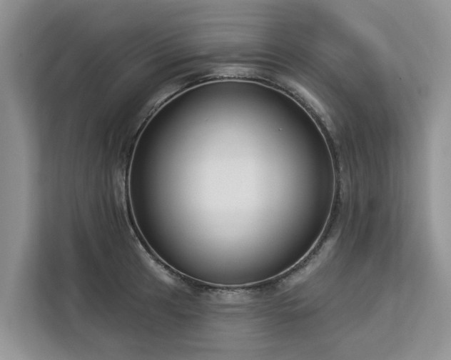 X0000113101041200908281344