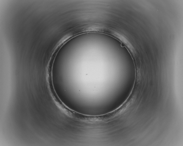 X0000113101042200908281344