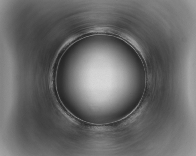X0000113101045200908281344