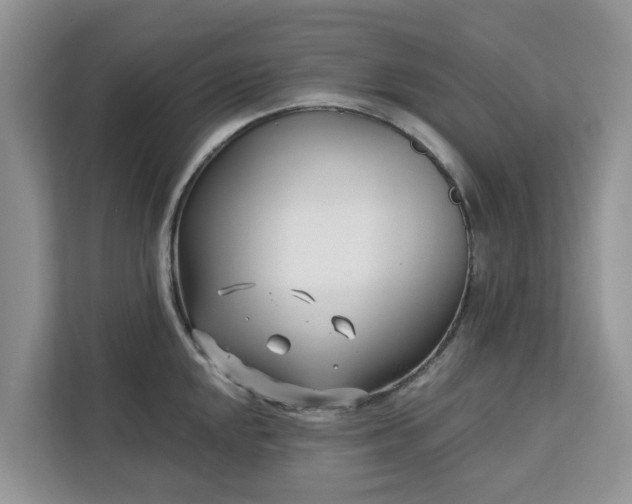 X0000113101048200908281344