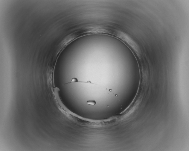X0000113101049200908281344