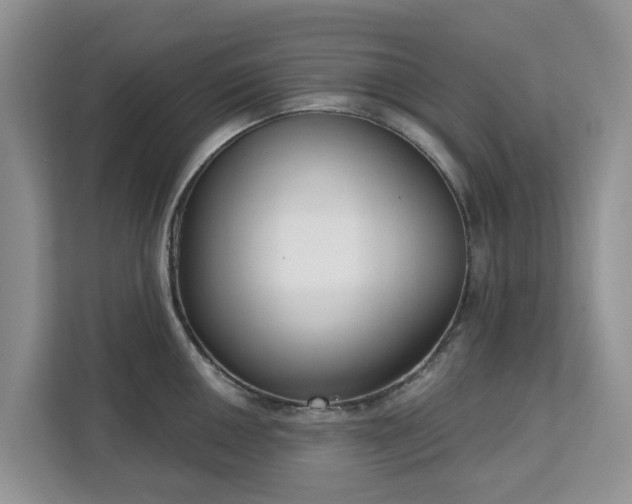 X0000113101050200908281344