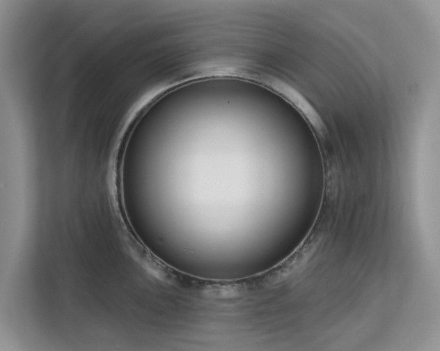 X0000113101051200908281344