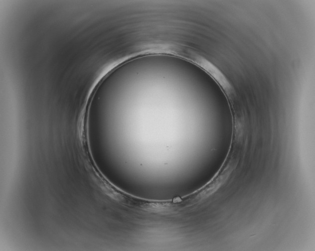 X0000113101052200908281344