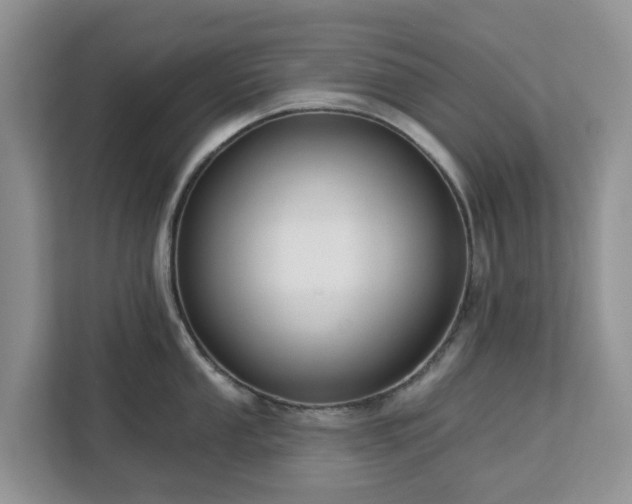 X0000113101053200908281344