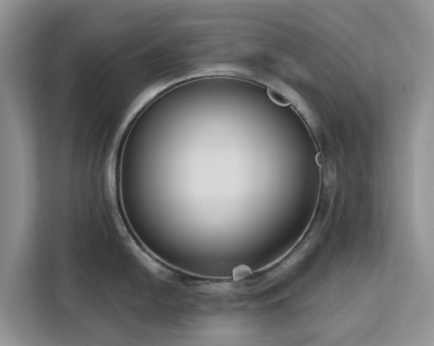 X0000113101054200908281344