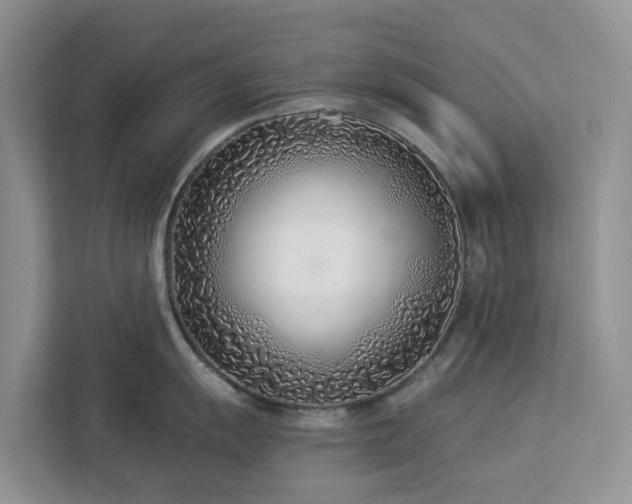 X0000113101055200908281344