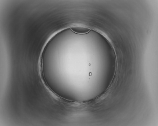 X0000113101056200908281344