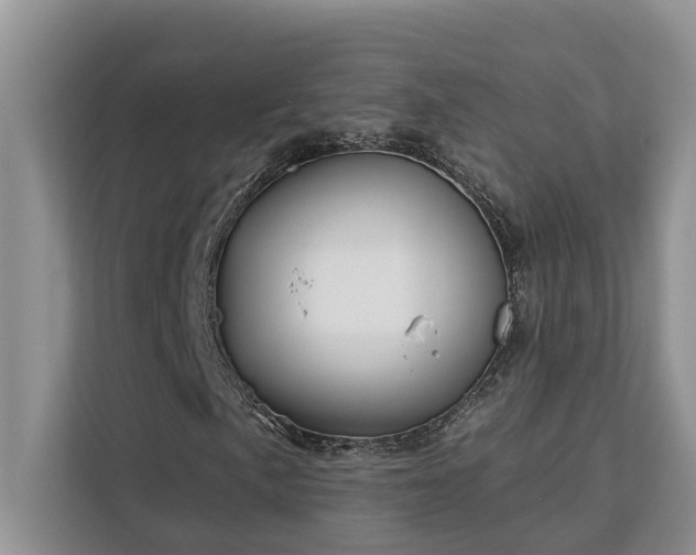 X0000113101057200908281343