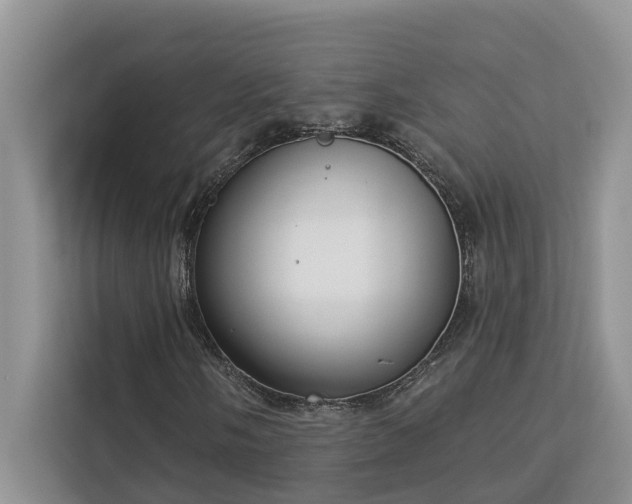 X0000113101058200908281343